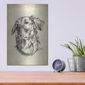'Breed Studies 8' by Ethan Harper – Metal Wall Art, 12x16 room view