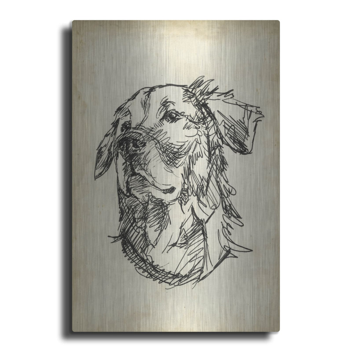 'Breed Studies 8' by Ethan Harper – Metal Wall Art