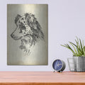 'Breed Studies 11' by Ethan Harper – Metal Wall Art, 12x16 room view