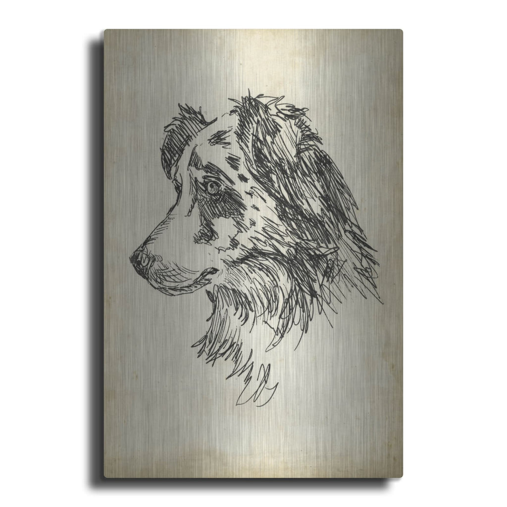 'Breed Studies 11' by Ethan Harper – Metal Wall Art