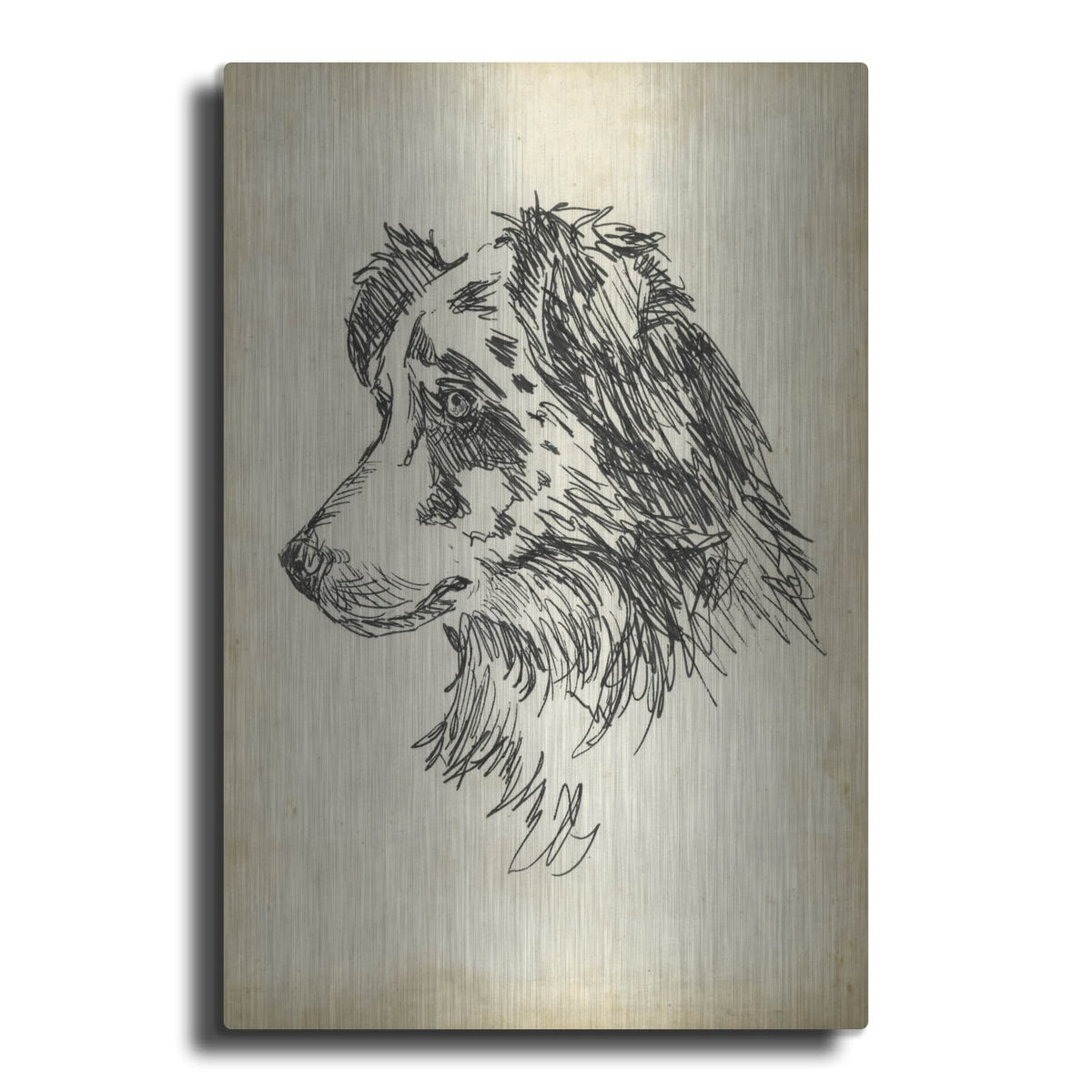 'Breed Studies 11' by Ethan Harper – Metal Wall Art