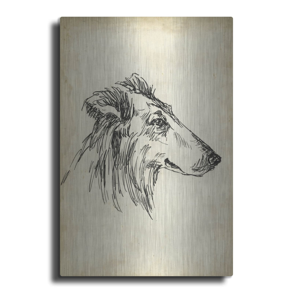 'Breed Studies 12' by Ethan Harper – Metal Wall Art