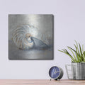 'Blue Shell Study 1' by Ethan Harper – Metal Wall Art, 12x12 room view