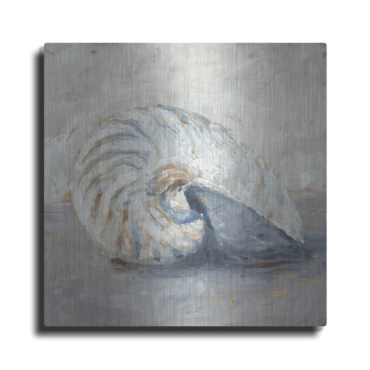 'Blue Shell Study 1' by Ethan Harper – Metal Wall Art