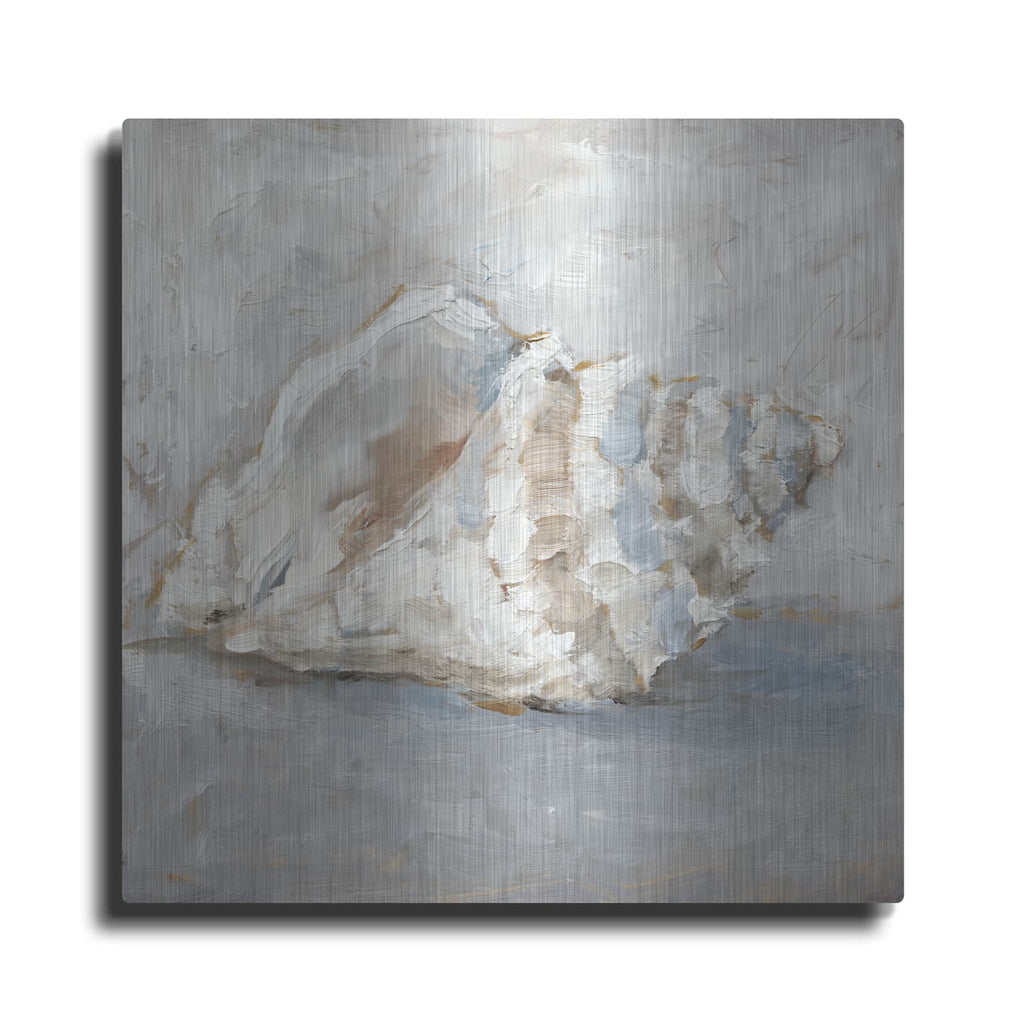 'Blue Shell Study 2' by Ethan Harper – Metal Wall Art