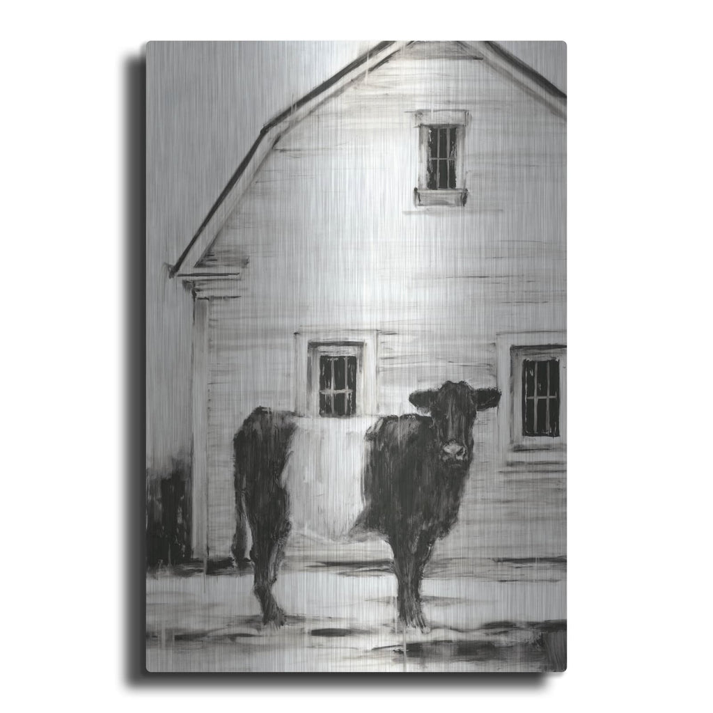 'Belted Galloway 1' by Ethan Harper – Metal Wall Art