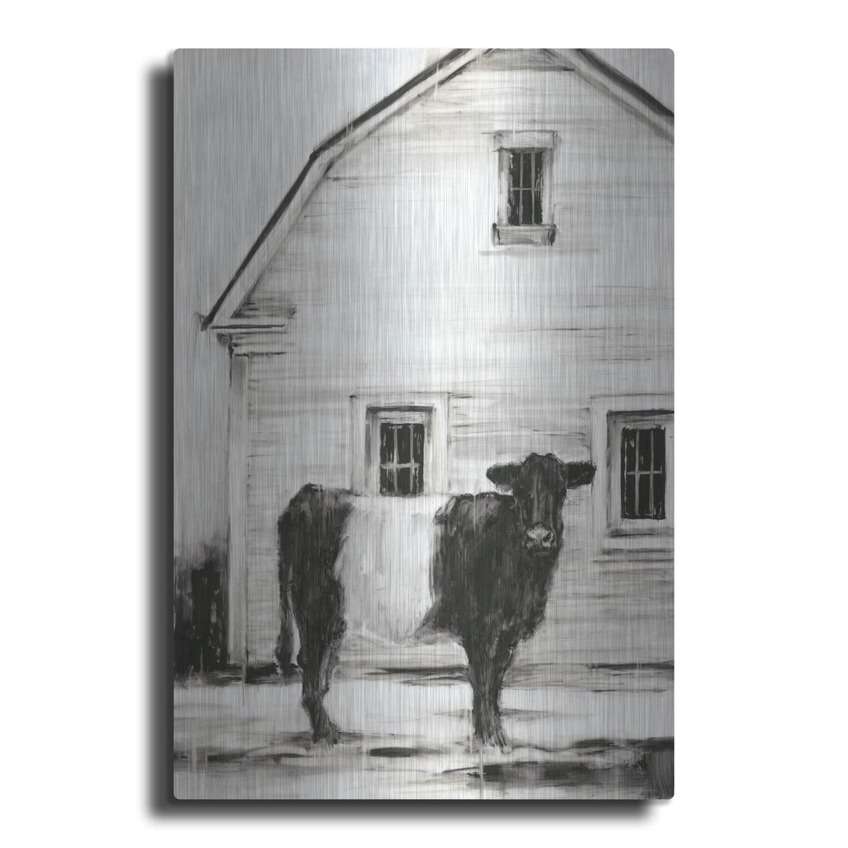 'Belted Galloway 1' by Ethan Harper – Metal Wall Art