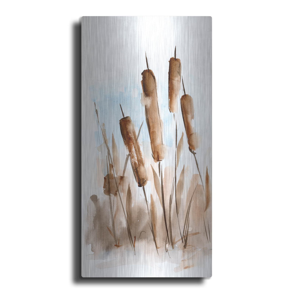 'Watercolor Cattail Study 2' by Ethan Harper – Metal Wall Art
