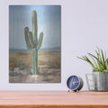 'Saguaro Cactus Study 1' by Ethan Harper – Metal Wall Art, 12x16 room view