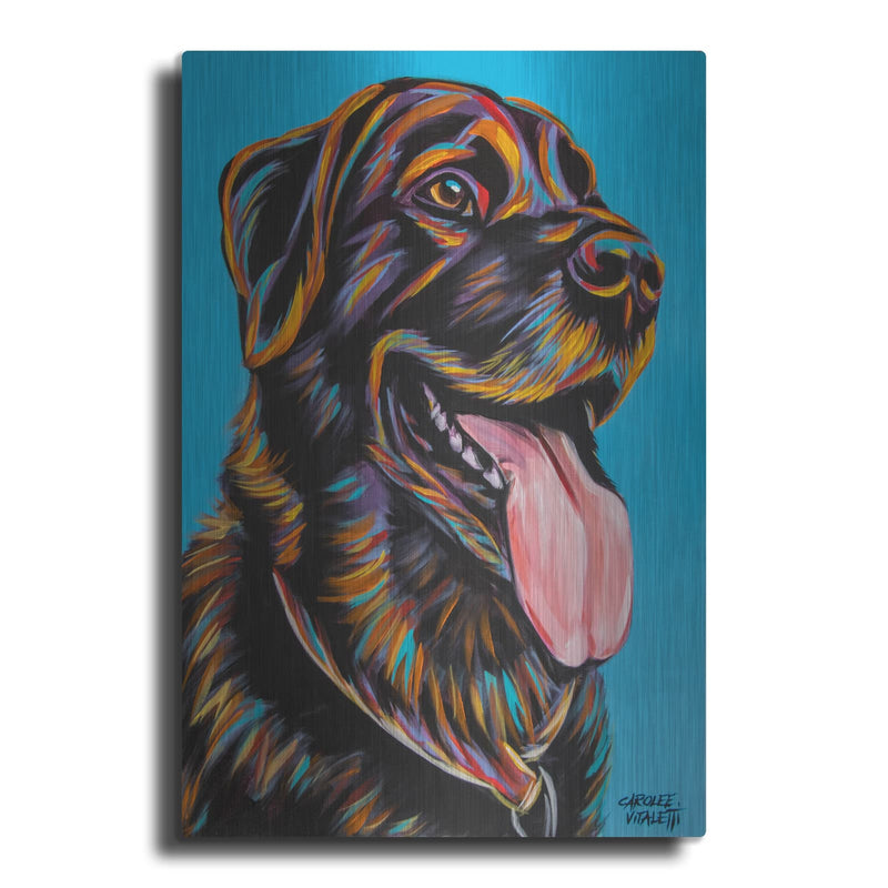 'Labs' by Carolee Vitaletti – Metal Wall Art