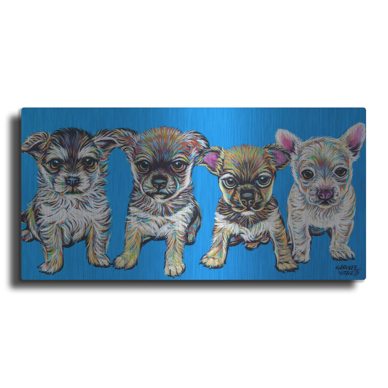 'Chihuahua Pups' by Carolee Vitaletti – Metal Wall Art