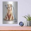 'Ruxpin' by Craig Snodgrass – Metal Wall Art, 12x16 room view