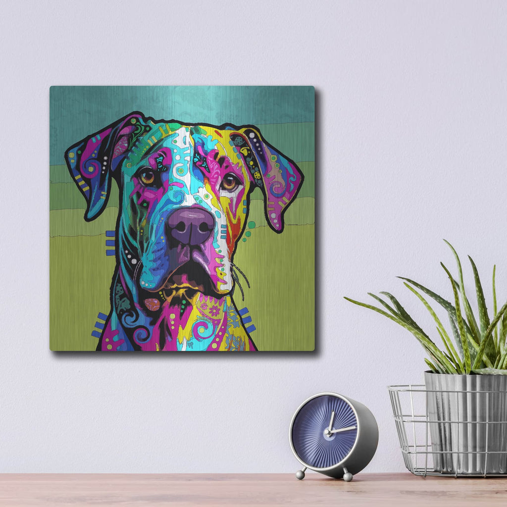 'Magna' by Dean Russo – Metal Wall Art, 12x12 room view