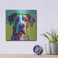 'Magna' by Dean Russo – Metal Wall Art, 12x12 room view