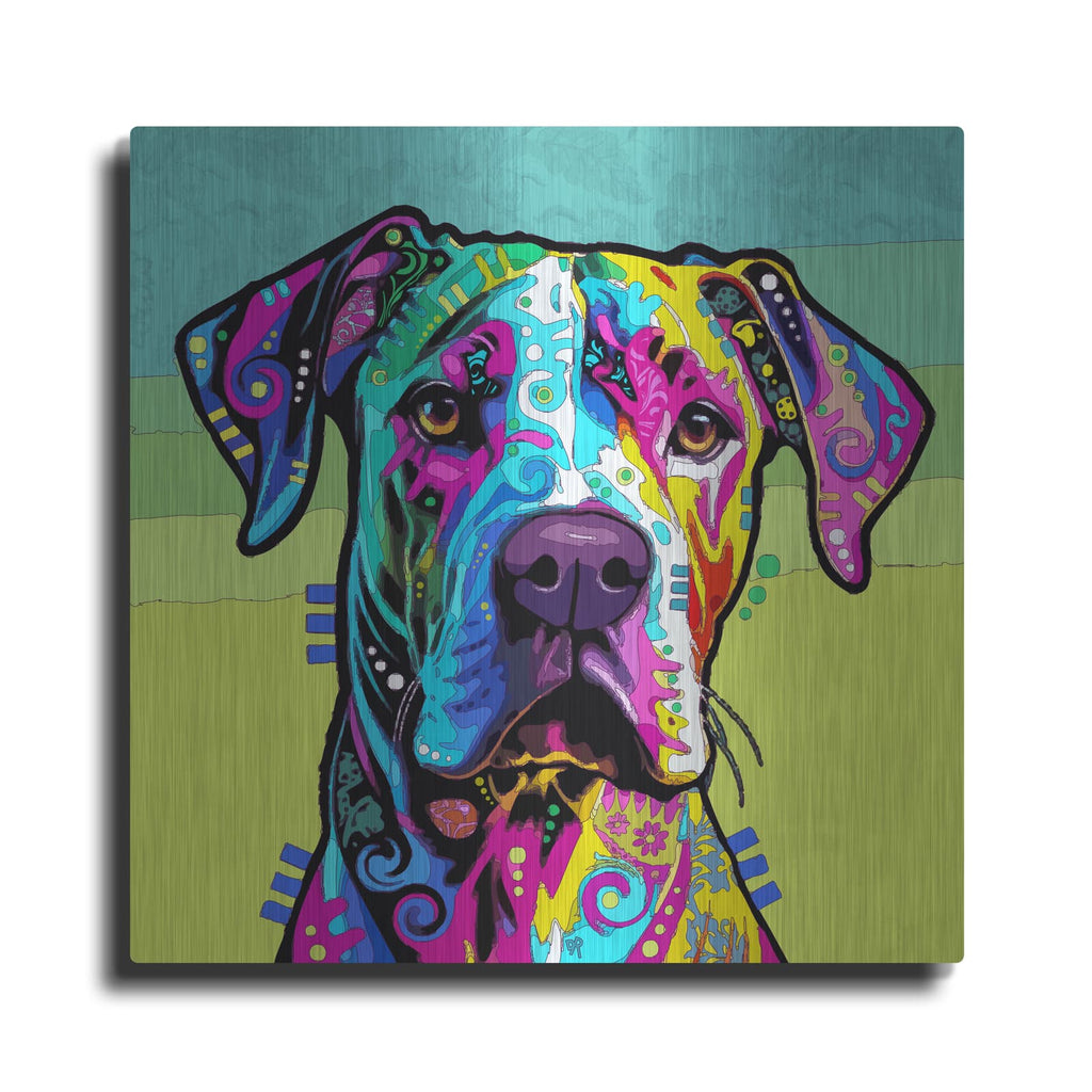 'Magna' by Dean Russo – Metal Wall Art