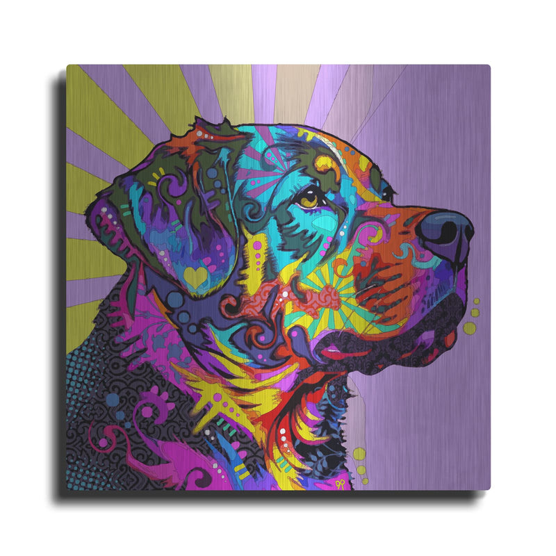 'Majestic' by Dean Russo – Metal Wall Art
