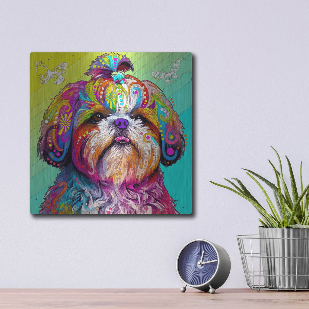 'Rainbow Shih Tzu' by Dean Russo – Metal Wall Art, 12x12 room view