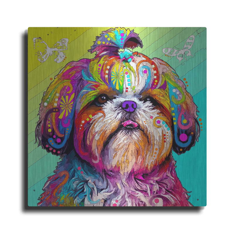'Rainbow Shih Tzu' by Dean Russo – Metal Wall Art