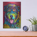 'I'll Always Be A Lap Dog No Matter How Big I Get' by Dean Russo – Metal Wall Art, 12x16 room view