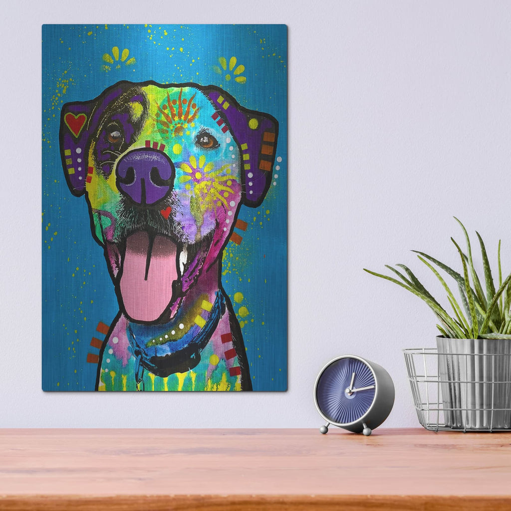 'Delux' by Dean Russo – Metal Wall Art, 12x16 room view
