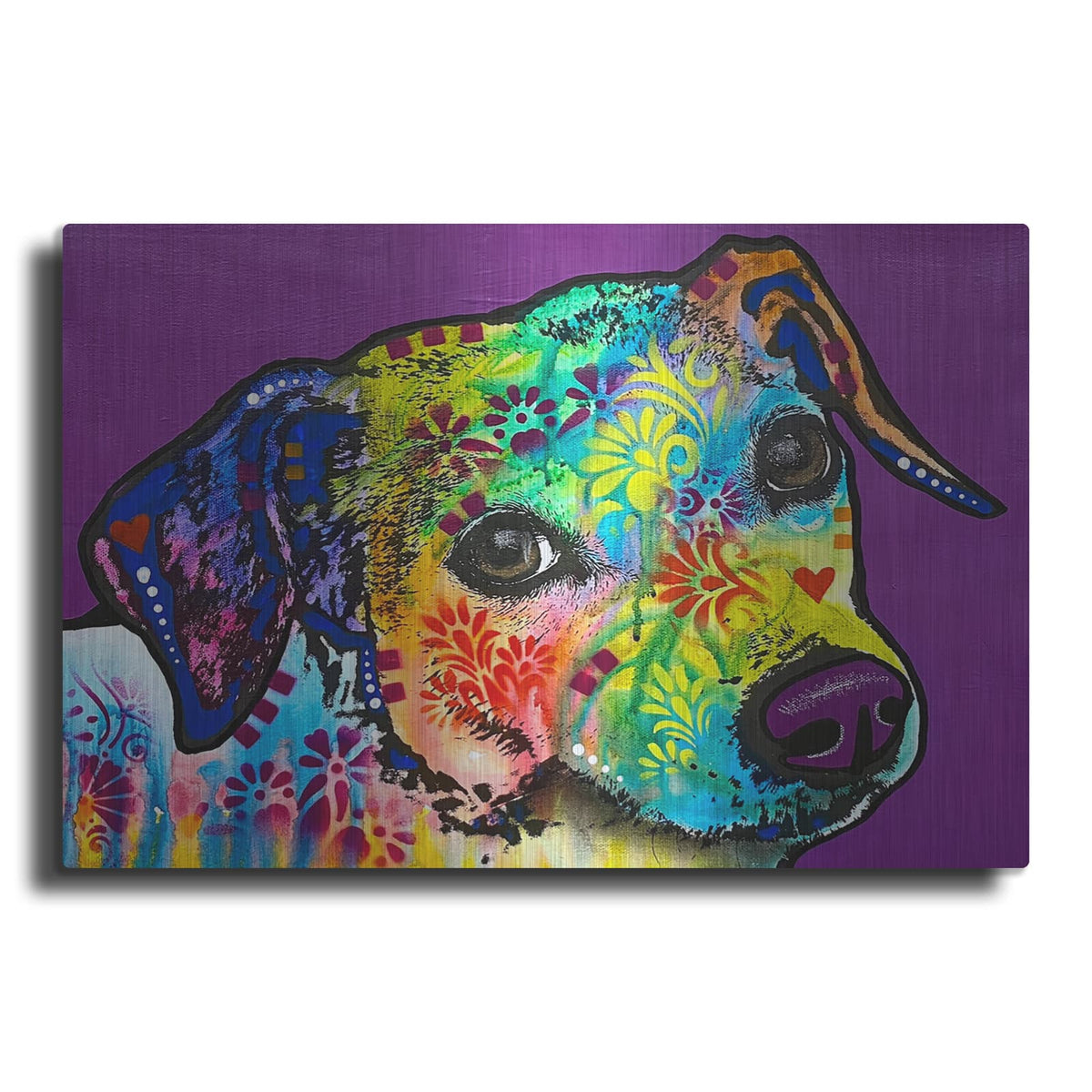 'Peanut' by Dean Russo – Metal Wall Art