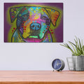 'Tatter' by Dean Russo – Metal Wall Art, 16x12 room view