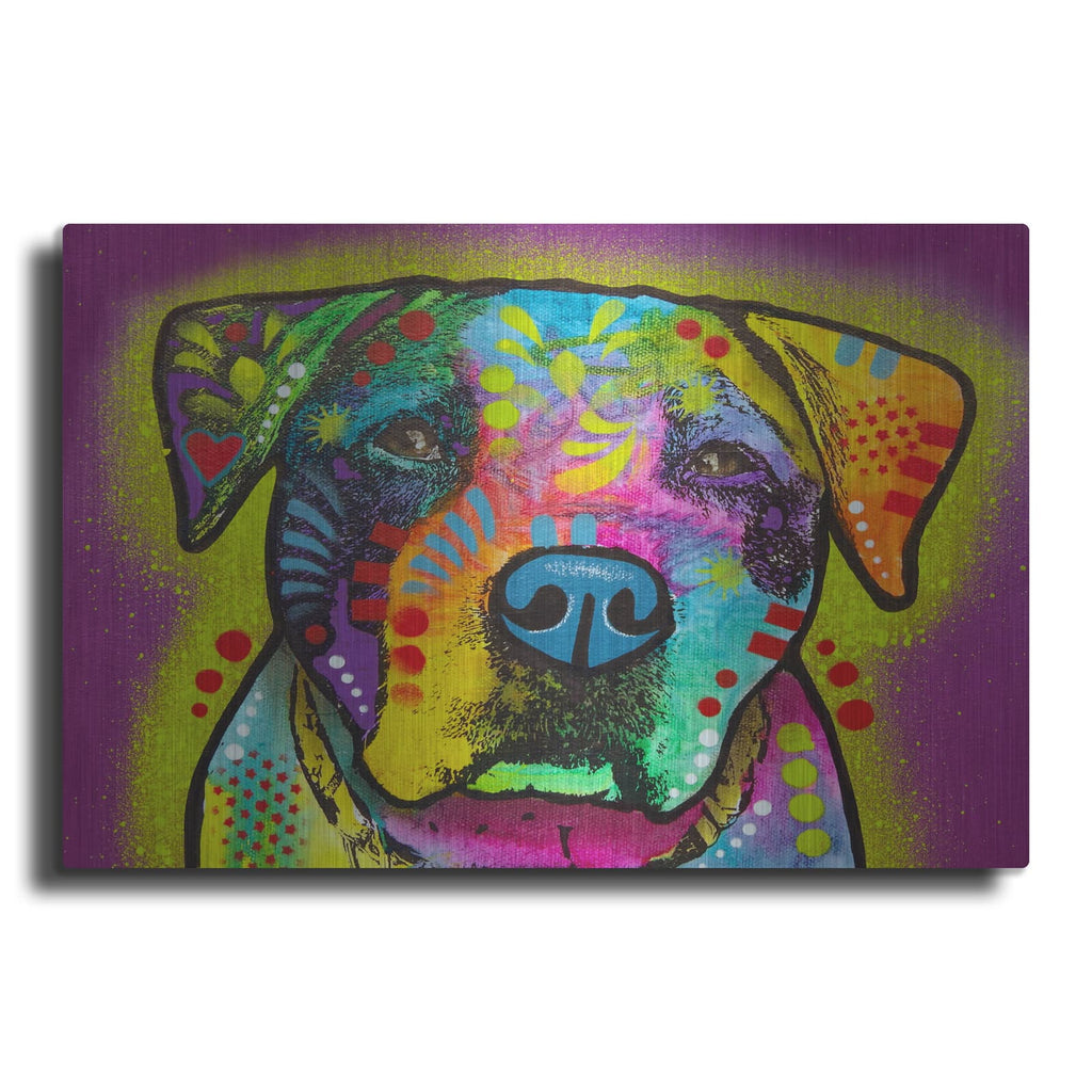 'Tatter' by Dean Russo – Metal Wall Art