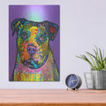 'Tested 2' by Dean Russo – Metal Wall Art, 12x16 room view