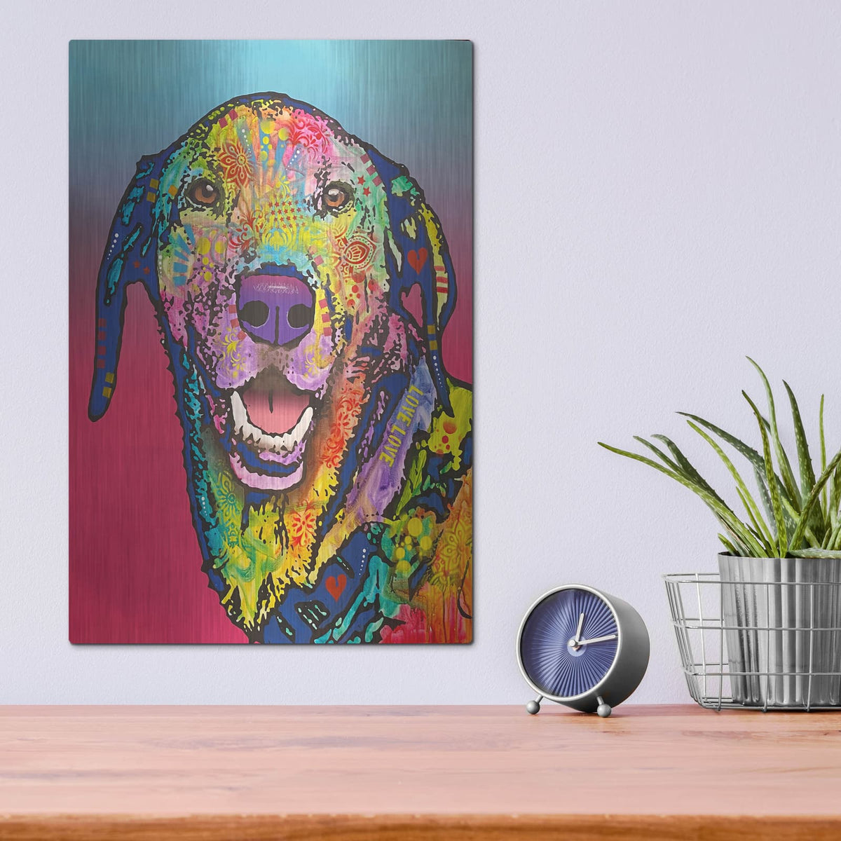 'Zoomies Expert' by Dean Russo – Metal Wall Art, 12x16 room view