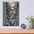 'Bengal Love' by Dean Russo – Metal Wall Art, 12x16 room view