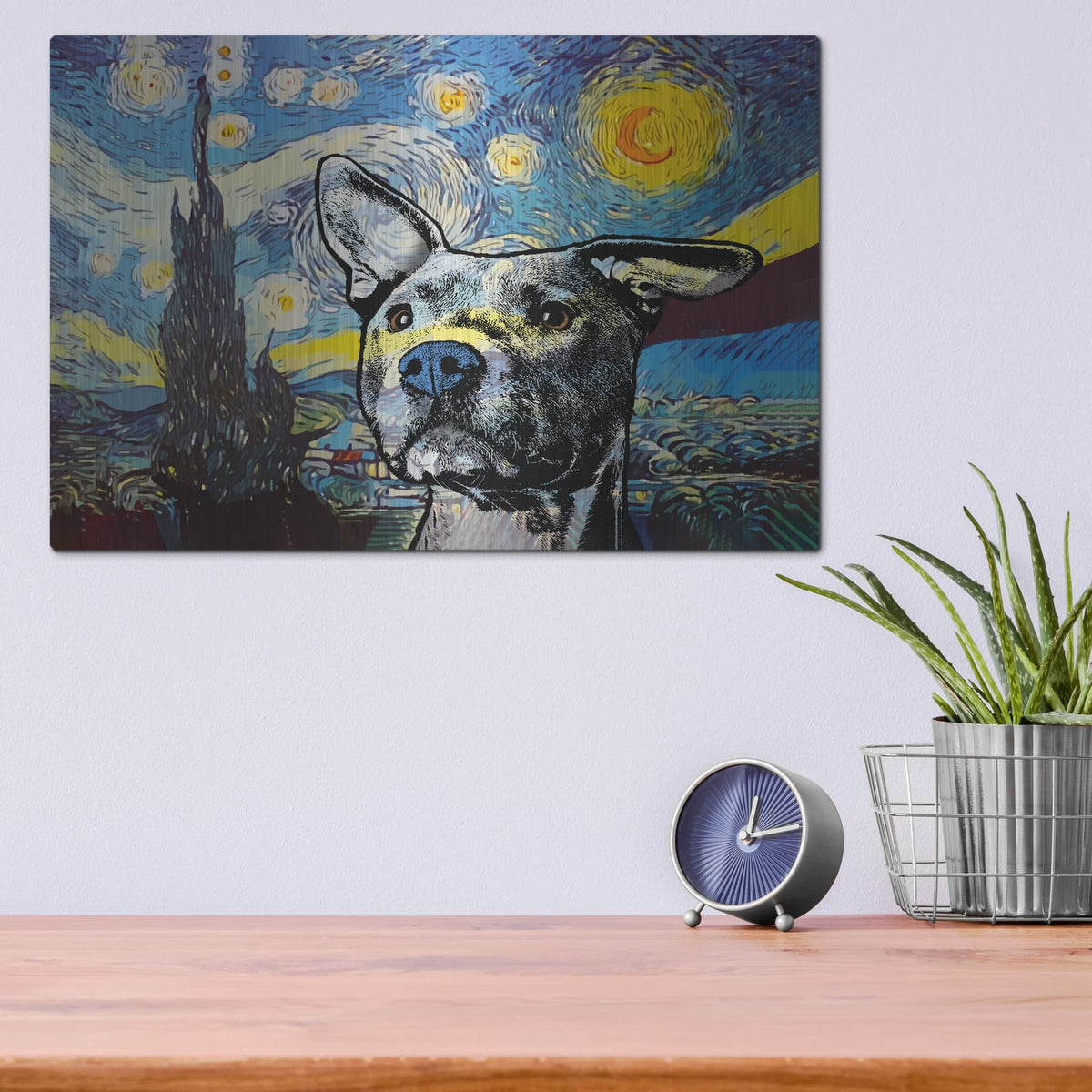 'Starry Pittie' by Dean Russo – Metal Wall Art, 16x12 room view