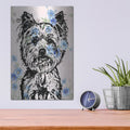 'Straight On Yorkie' by Dean Russo – Metal Wall Art, 12x16 room view