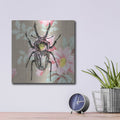 'Beetle Wallpaper Square' by Dean Russo – Metal Wall Art, 12x12 room view