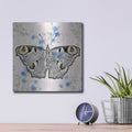 'Moth Wallpaper Square' by Dean Russo – Metal Wall Art, 12x12 room view