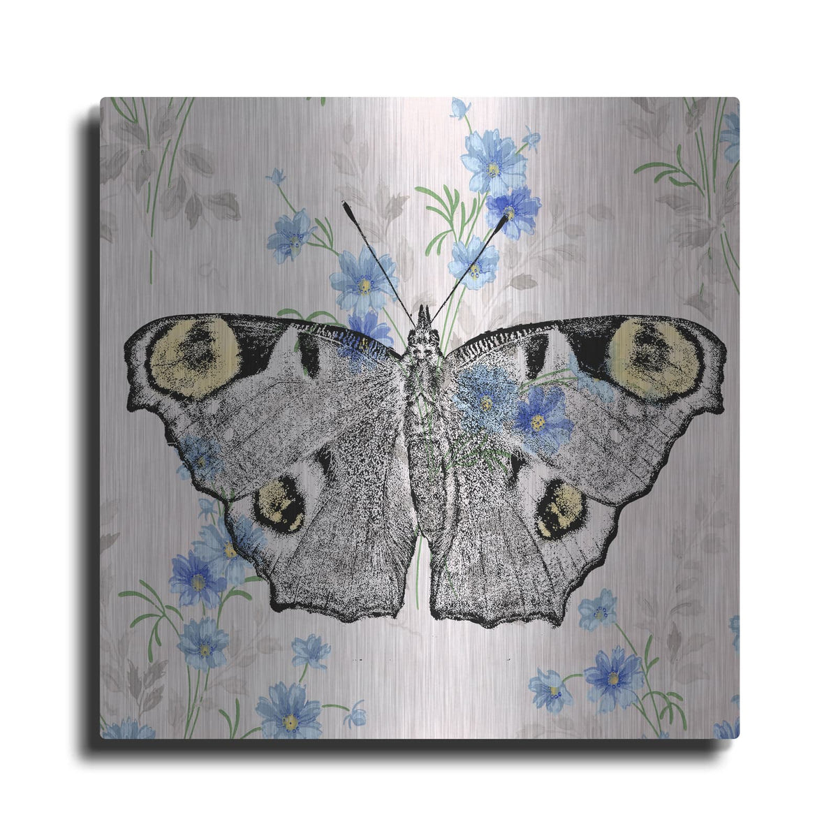 'Moth Wallpaper Square' by Dean Russo – Metal Wall Art