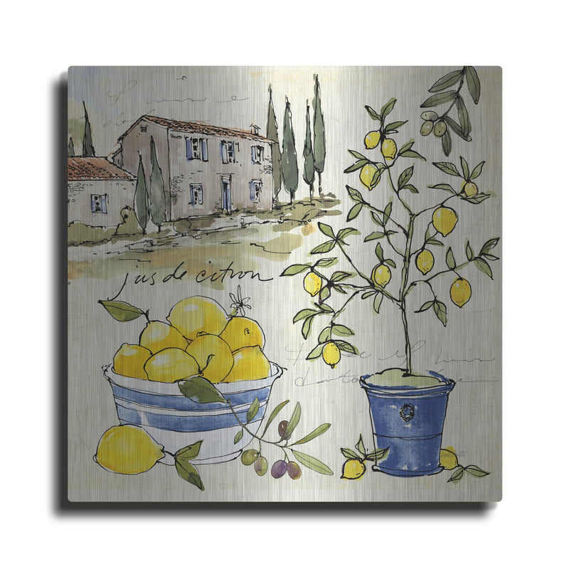'Citron III' by Anne Tavoletti – Metal Wall Art