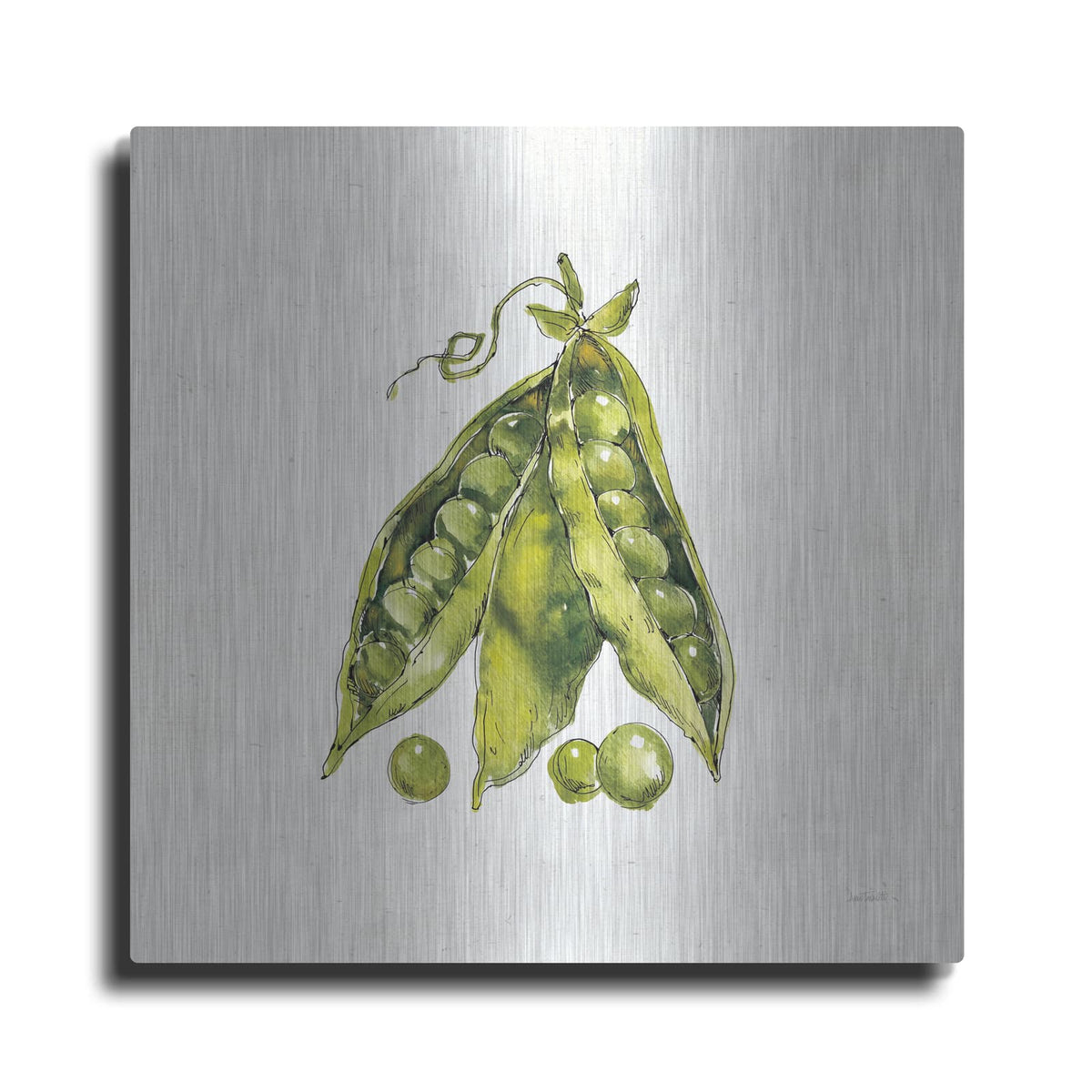 'Veggie Market IV Peas' by Anne Tavoletti – Metal Wall Art