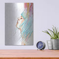 'Space Queen Rebirth' by Craig Snodgrass – Metal Wall Art, 12x16 room view