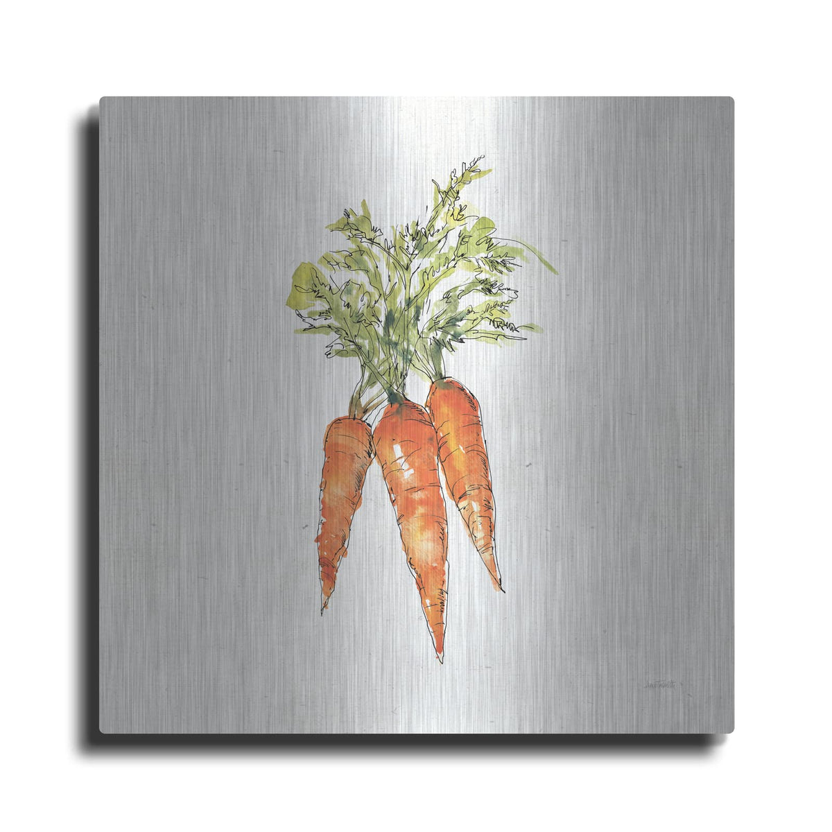 'Veggie Market V Carrots' by Anne Tavoletti – Metal Wall Art