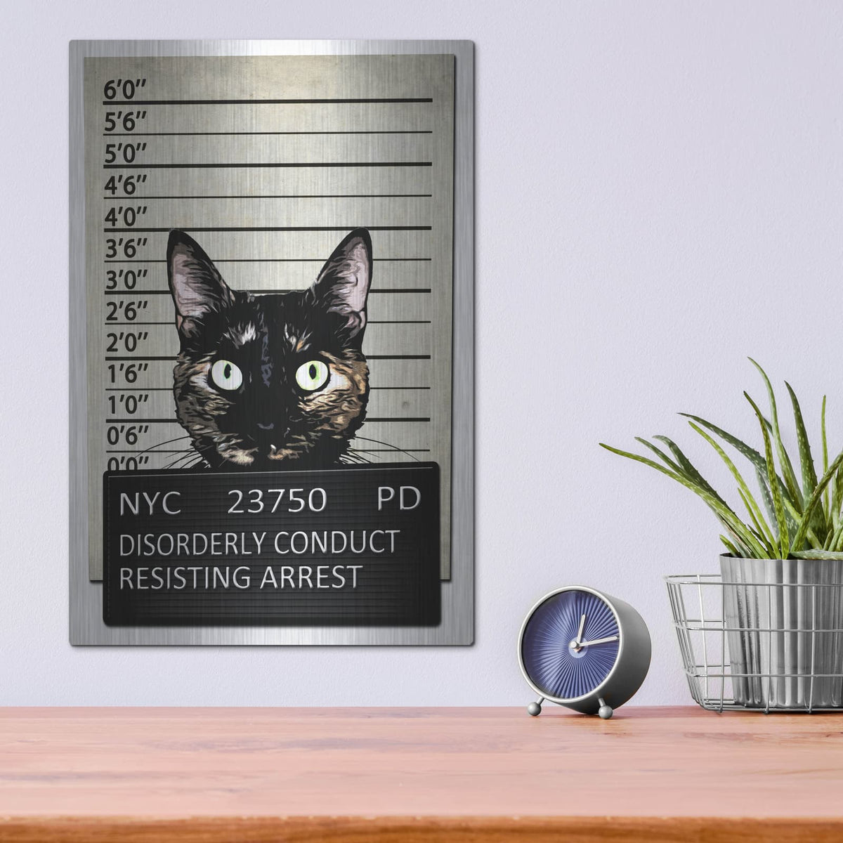 'Kitty Mugshot' by Nicklas Gustafsson – Metal Wall Art, 12x16 room view