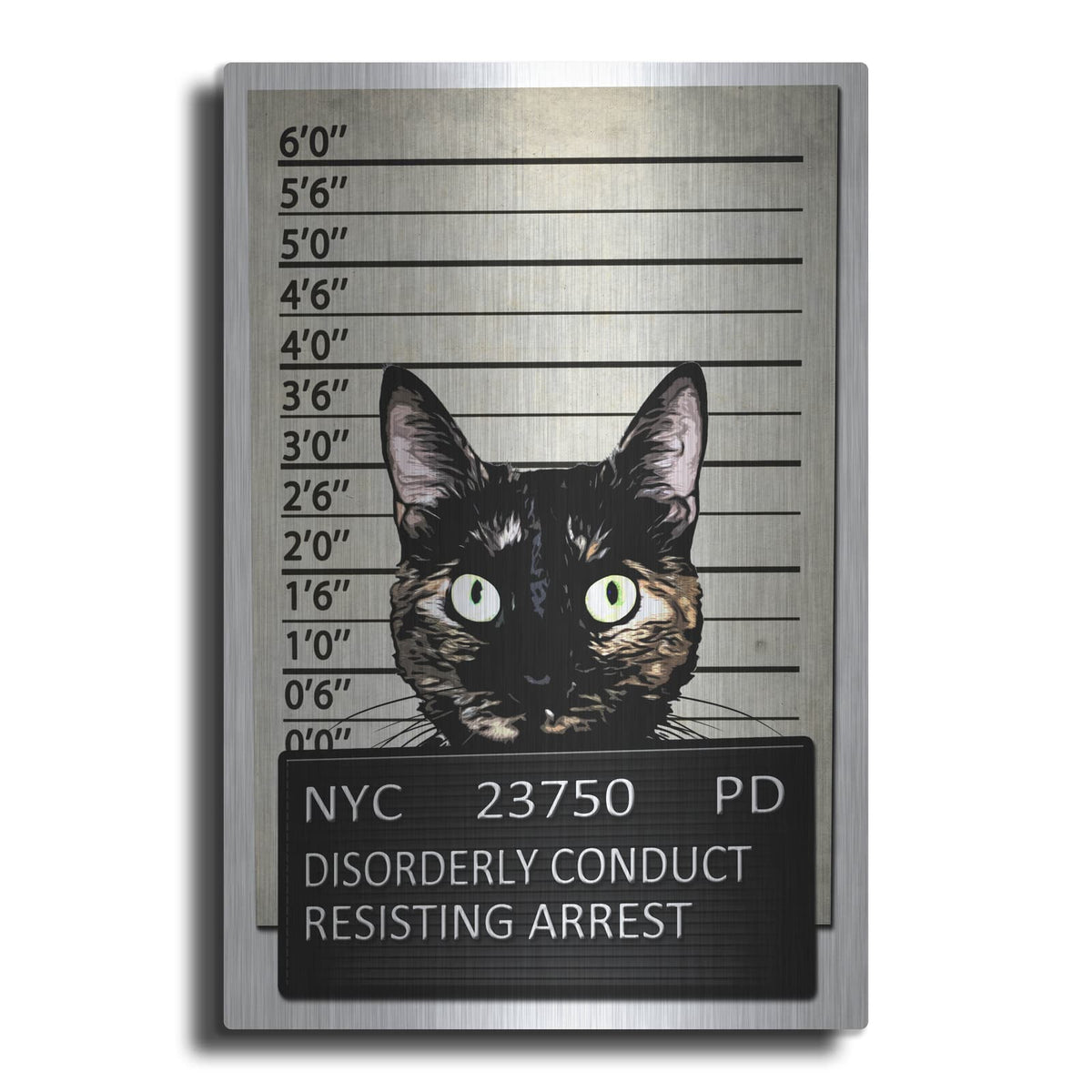 'Kitty Mugshot' by Nicklas Gustafsson – Metal Wall Art
