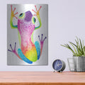 'Rainbow Frog' by Hello Angel – Metal Wall Art, 12x16 room view