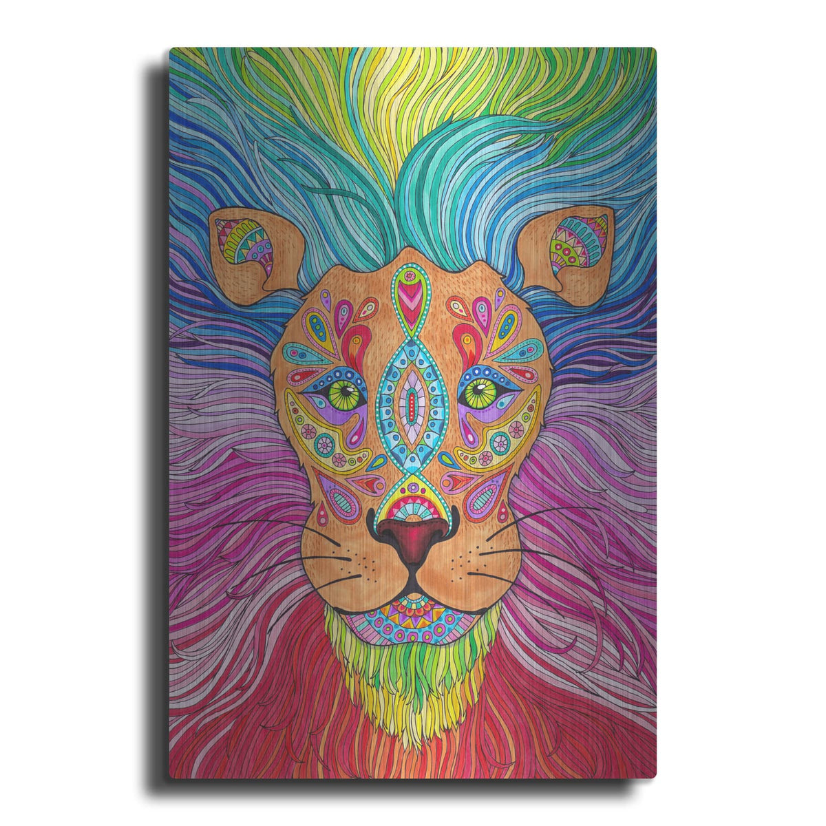 'Rainbow Lion Mane' by Hello Angel – Metal Wall Art