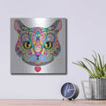 'Kaleidoscope Kitty' by Hello Angel – Metal Wall Art, 12x12 room view