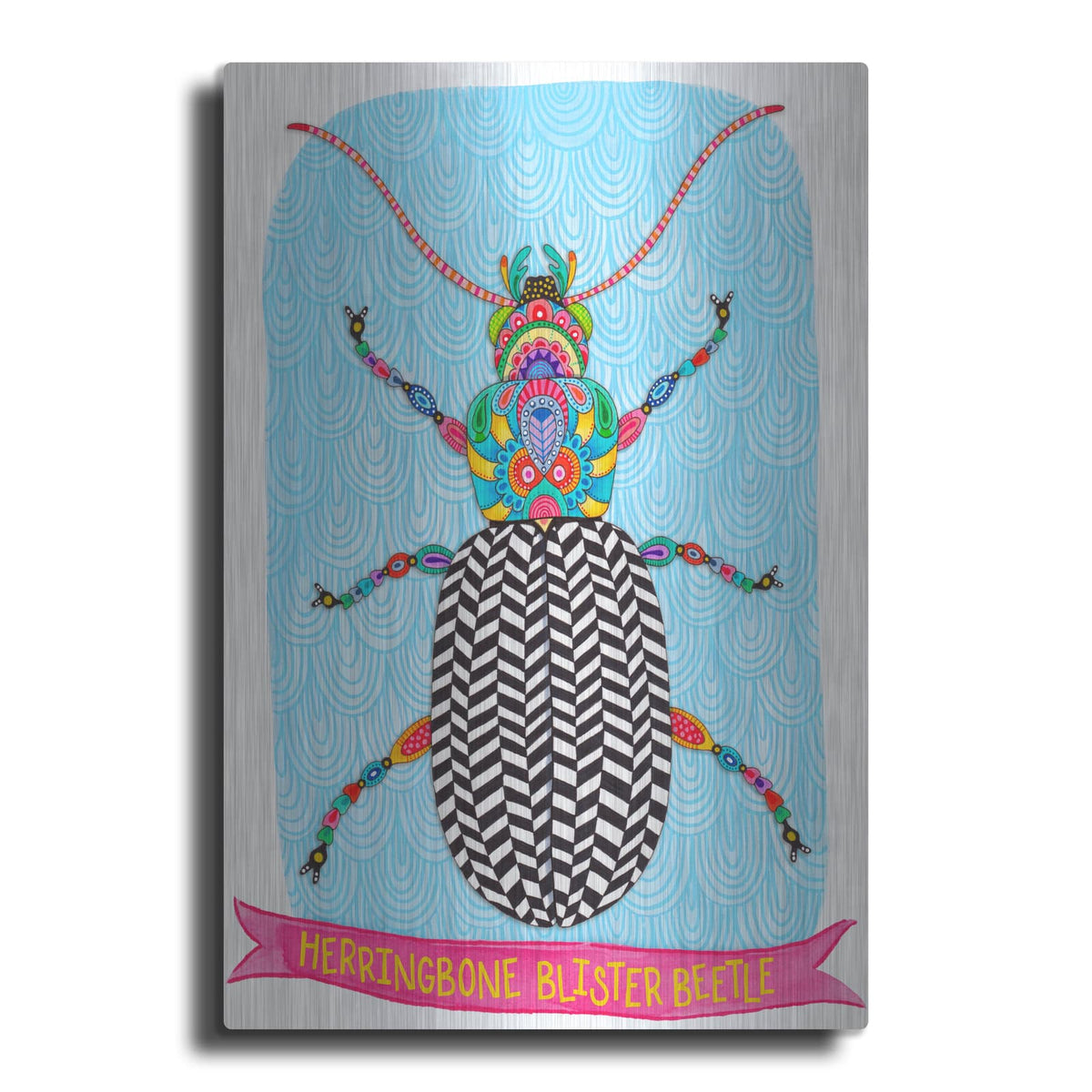 'Herringbone Blister Beetle Mounted' by Hello Angel – Metal Wall Art
