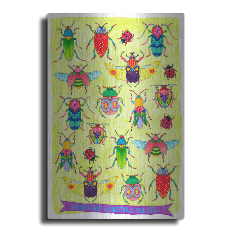 'Weird And Wonderous Beetles Mounted' by Hello Angel – Metal Wall Art