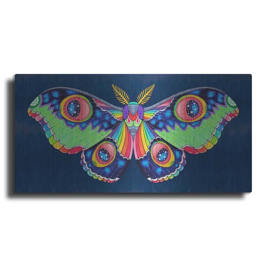 'Midnight Rainbow Moth' by Hello Angel – Metal Wall Art