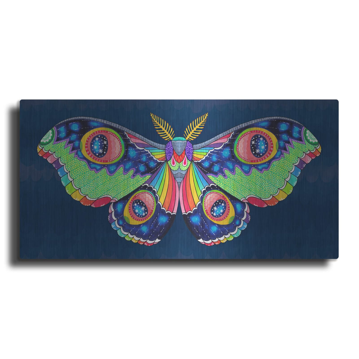 'Midnight Rainbow Moth' by Hello Angel – Metal Wall Art