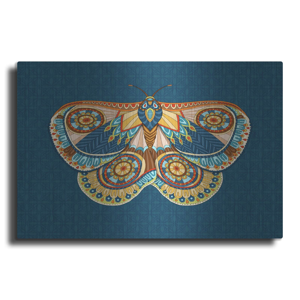 'Winter Moth' by Hello Angel – Metal Wall Art