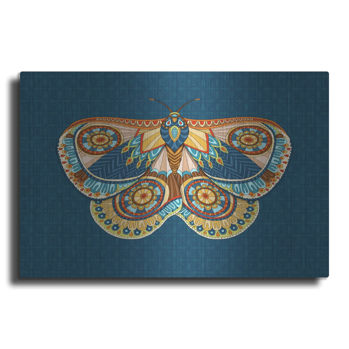 'Winter Moth' by Hello Angel – Metal Wall Art